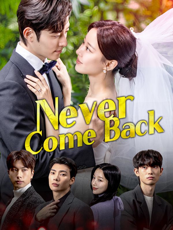 Never Come Back poster
